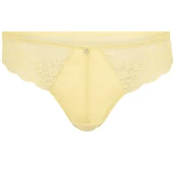 Adore Me Women's Perla Cheeky Panty -Adore Me Store GUEST 2967034d eebf 4113 8880 02b9343e7f73
