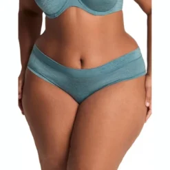 Adore Me Women's Abellinaa Hipster Panty -Adore Me Store GUEST 434abcde 3d80 4146 9533 198ebc98f4aa