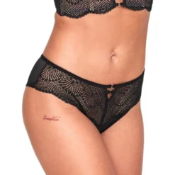 Adore Me Women's Margaritte Cheeky Panty -Adore Me Store GUEST 75f60d36 8a3b 45b0 9061 0da1a2aee2d6