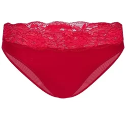 Adore Me Women's Jaya Bikini Panty -Adore Me Store GUEST d7c78eda 0aa8 426c 8bea a59b3a7befd9